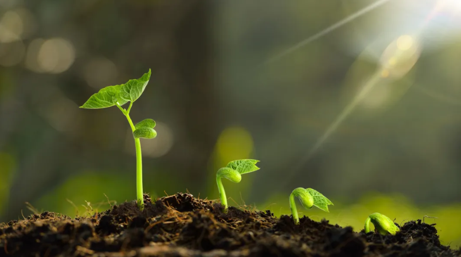 重磅|koo钱包“20周年庆”大幕拉起，是时候发挥你的聪明才智了！(图3)